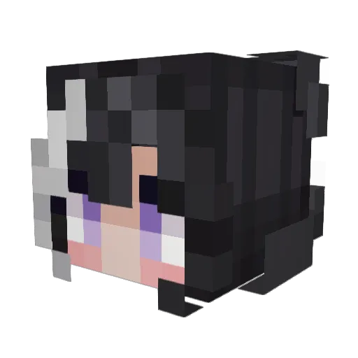 Pine_12 Minecraft avatar head, 3D render
