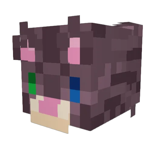 Pine_Marin Minecraft avatar head, 3D render