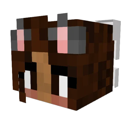 Pine_Namu Minecraft avatar head, 3D render
