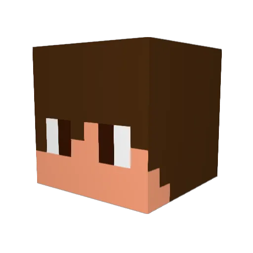 PineappIe_Robot Minecraft avatar head, 3D render