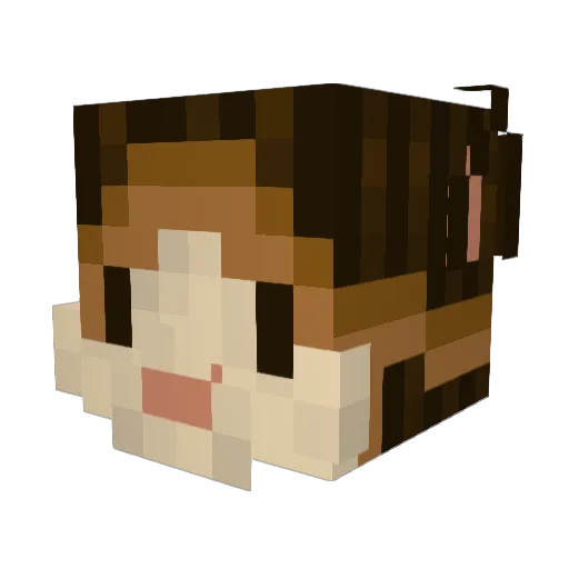 Pineapple593 Minecraft avatar head, 3D render