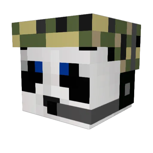 Pineapple8026 Minecraft avatar head, 3D render