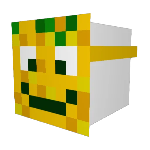 PineappleDrew Minecraft avatar head, 3D render