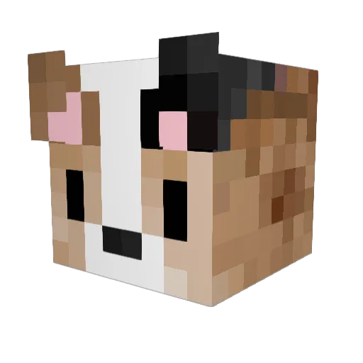 PineappleFanta30 Minecraft avatar head, 3D render