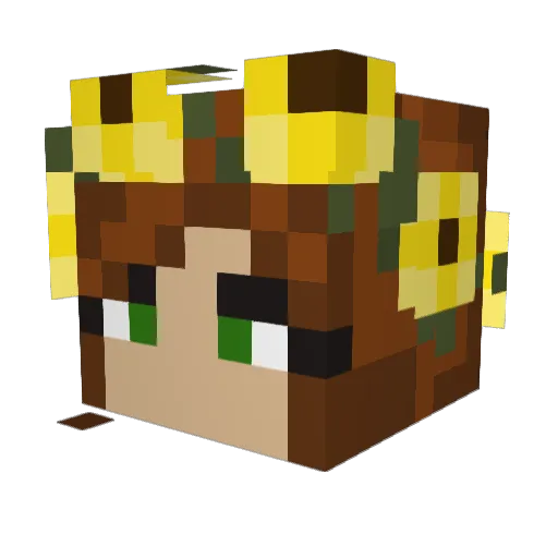 PineappleGirl01 Minecraft avatar head, 3D render