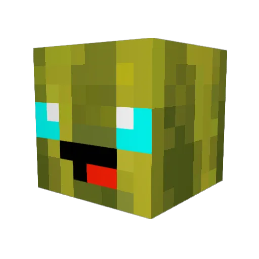 PineappleOnPizza Minecraft avatar head, 3D render