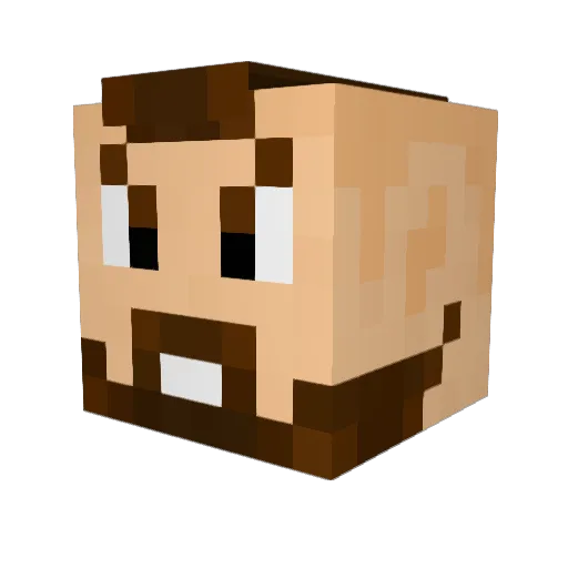 PineappleParty_ Minecraft avatar head, 3D render
