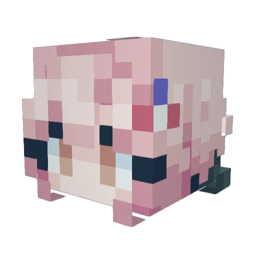PineappleTartt Minecraft avatar head, 3D render