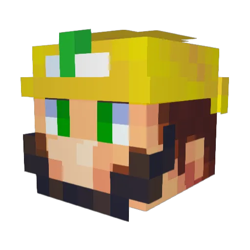 Pineappleguy033 Minecraft avatar head, 3D render