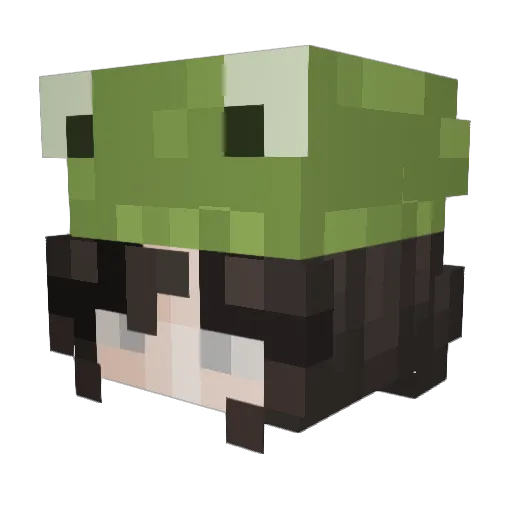 Pineapplep1za Minecraft avatar head, 3D render