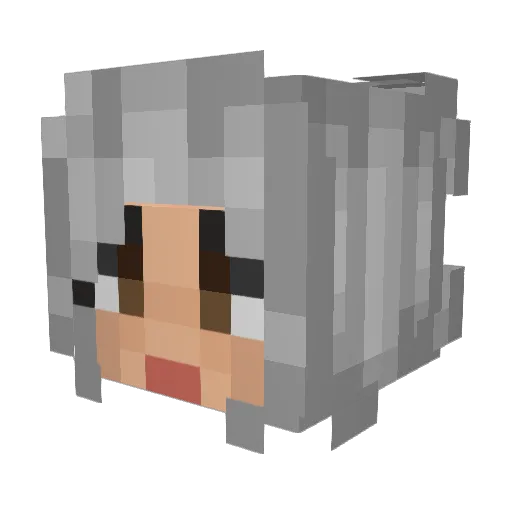 PineapplesPlays Minecraft avatar head, 3D render