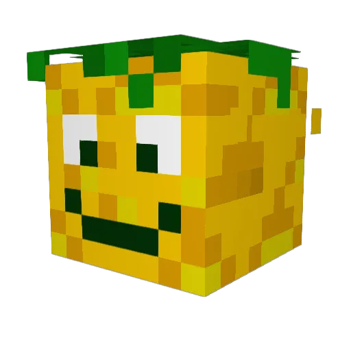 Pineapplesugr Minecraft avatar head, 3D render