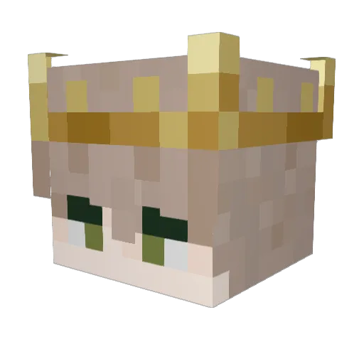 Pinecon_ Minecraft avatar head, 3D render