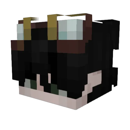 Pinedator Minecraft avatar head, 3D render
