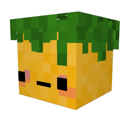 Pinepappel Minecraft avatar head, 3D render