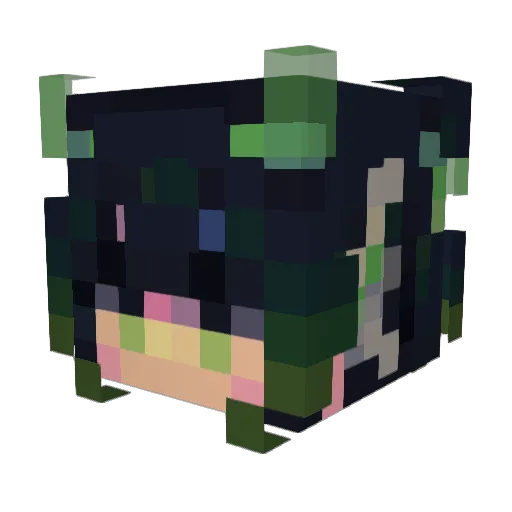 Pines74 Minecraft avatar head, 3D render