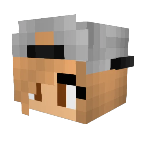 Pinetreeisland Minecraft avatar head, 3D render