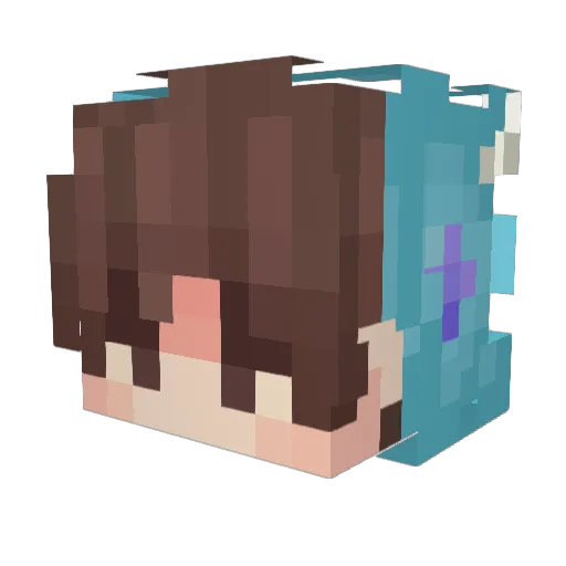 Pinflaquito069 Minecraft avatar head, 3D render