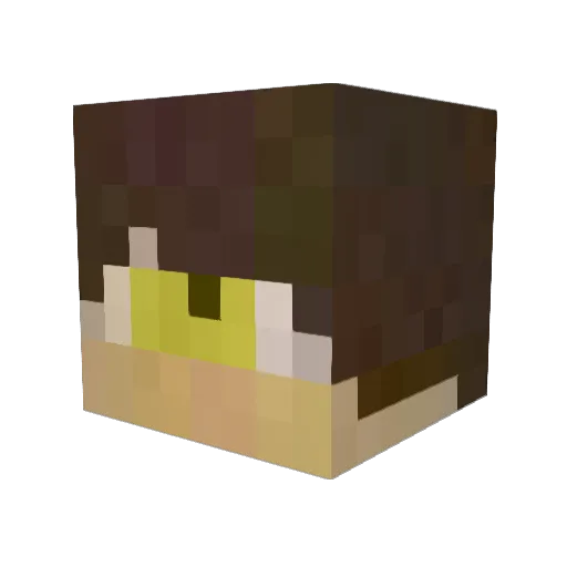 PingPlaysMC Minecraft avatar head, 3D render