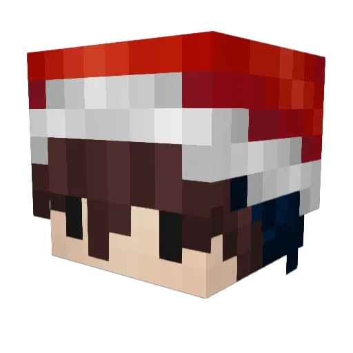 Ping__zi Minecraft avatar head, 3D render
