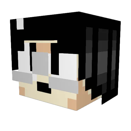 PingasMan91 Minecraft avatar head, 3D render
