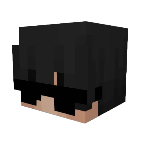 Pingbugt Minecraft avatar head, 3D render