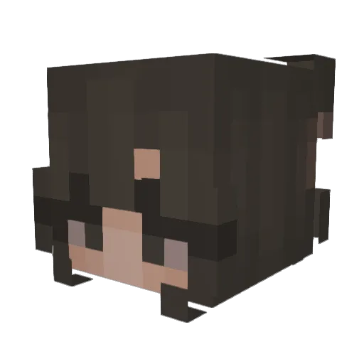 Pinger Minecraft avatar head, 3D render