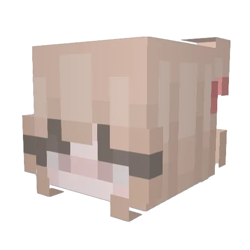 Pingey Minecraft avatar head, 3D render