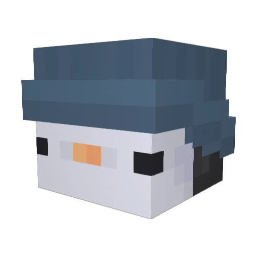 Pingi9999 Minecraft avatar head, 3D render