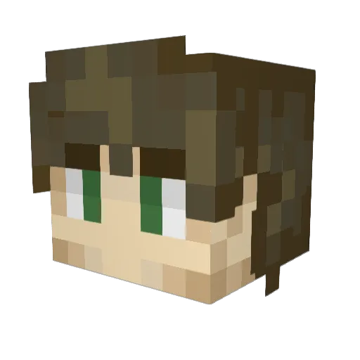 Pingouidu64 Minecraft avatar head, 3D render
