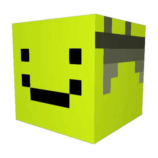 Pingu876 Minecraft avatar head, 3D render