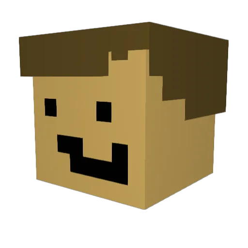 Pingu__69 Minecraft avatar head, 3D render