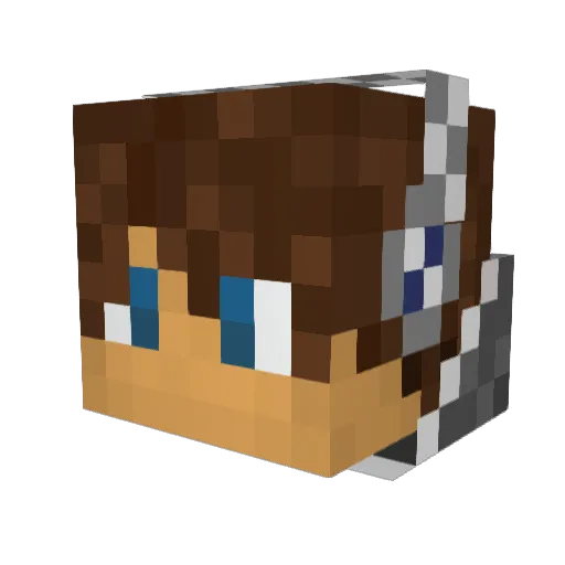 Pingu_extrem Minecraft avatar head, 3D render