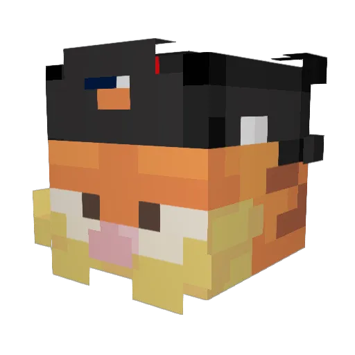 Pingubruh Minecraft avatar head, 3D render