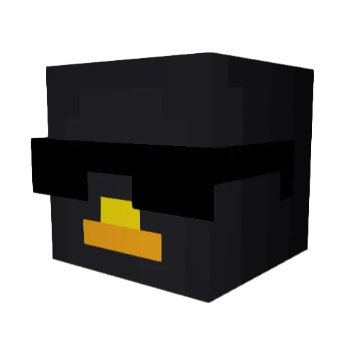 Pinguii_chique Minecraft avatar head, 3D render