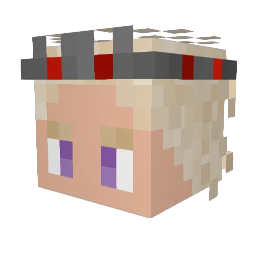 Pinguin1304 Minecraft avatar head, 3D render
