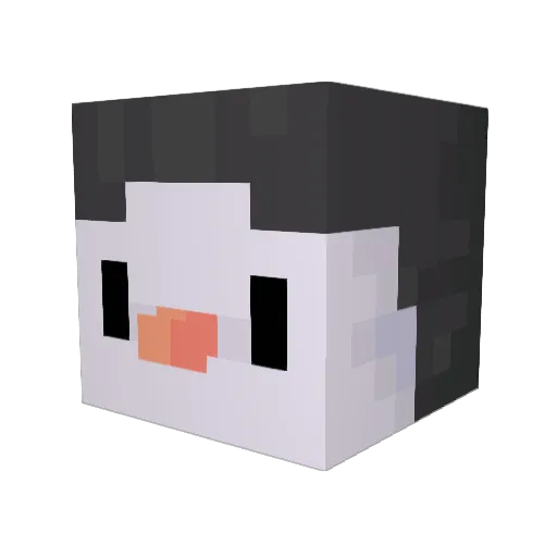 Pinguin200 Minecraft avatar head, 3D render