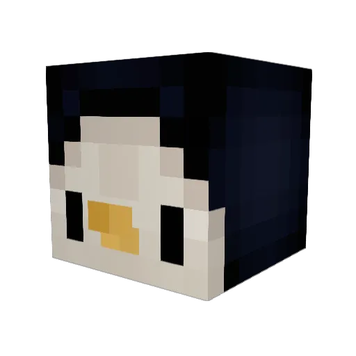 Pinguin_64 Minecraft avatar head, 3D render