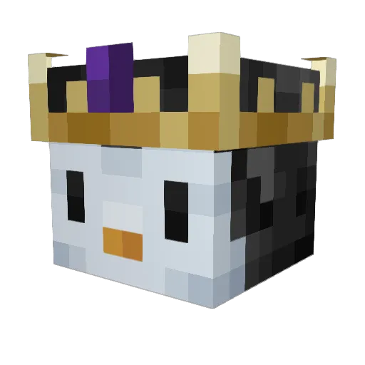 Pinguin_Leo Minecraft avatar head, 3D render