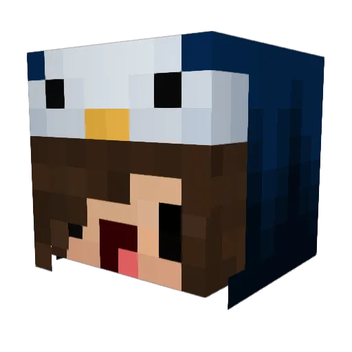 PinguinaAye Minecraft avatar head, 3D render