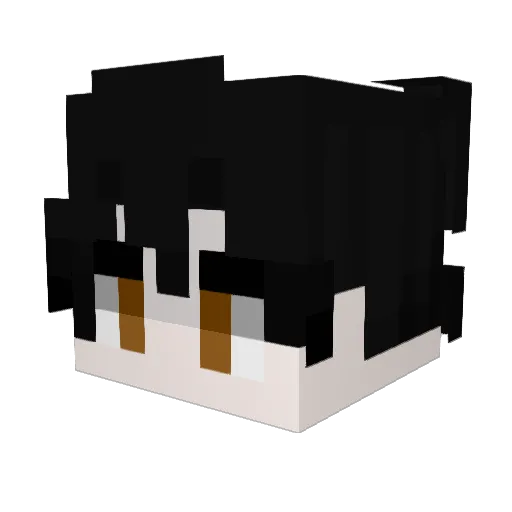 Pinguinako Minecraft avatar head, 3D render