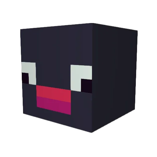 Pinguu46 Minecraft avatar head, 3D render
