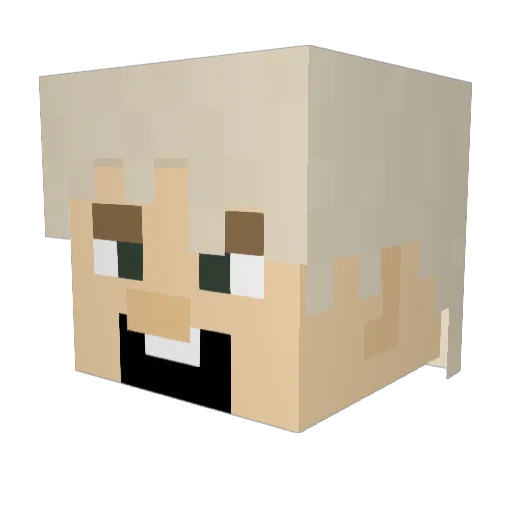 Pingv1nka Minecraft avatar head, 3D render