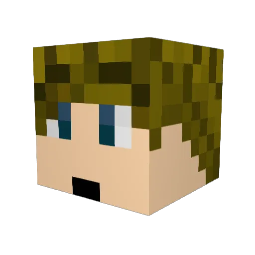 Pingvinpenis Minecraft avatar head, 3D render