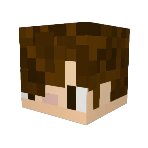Pingwinn08 Minecraft avatar head, 3D render
