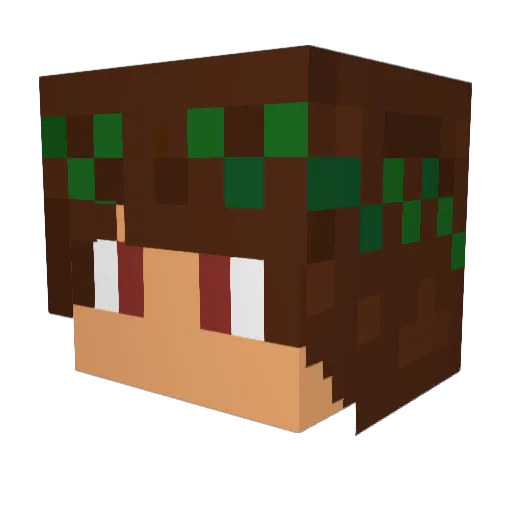 Pingwouin Minecraft avatar head, 3D render