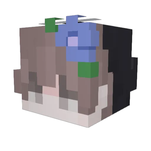 Pinil_hifNova_4 Minecraft avatar head, 3D render