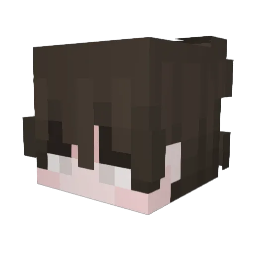 Pininfarinaa Minecraft avatar head, 3D render