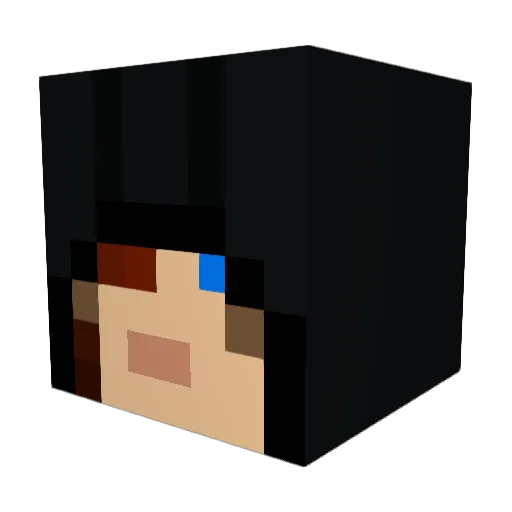Pinjuin Minecraft avatar head, 3D render