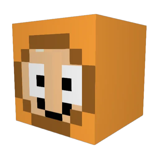 PinkAlicorn1189 Minecraft avatar head, 3D render